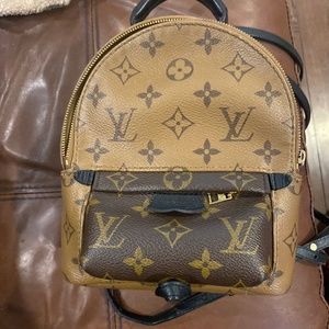 Louis Vuitton Palm Springs Reverse